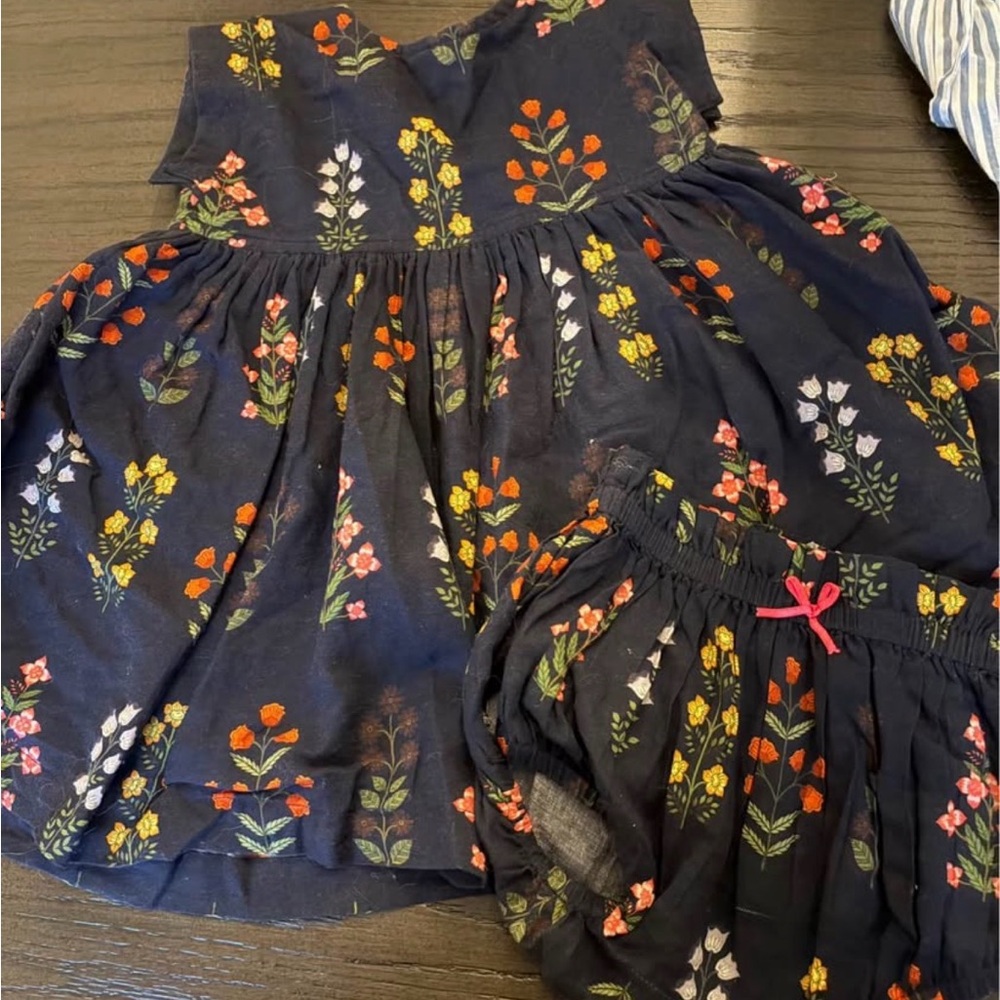 Pink Chicken Floral Baby Dress and Bloomers Set